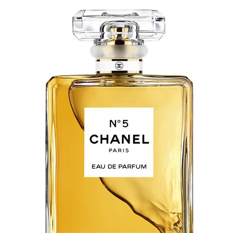 chanel 6 perfume|chanel n 5 perfume price.